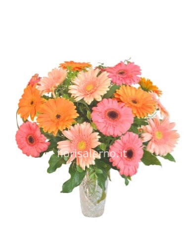 Bouquet di gerbere vari colori