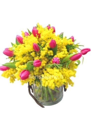 tulipani e mimose