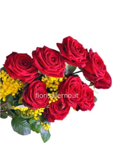 Rose rosse con mimosa 