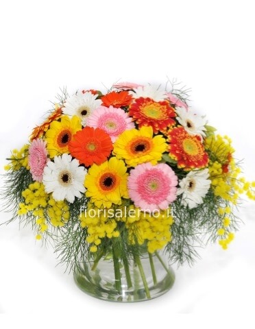 Bouquet di 10 gerbere con mimose
