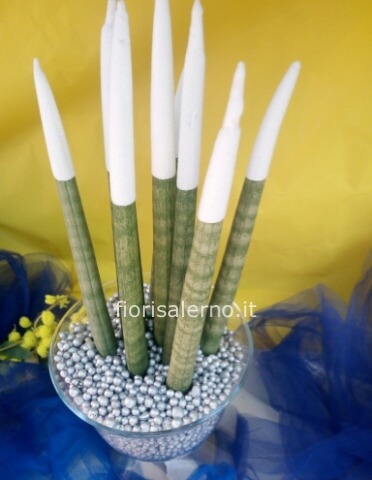 Sansevieria tubolare colorata