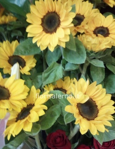 3 girasoli