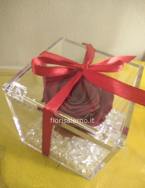 Rosa rossa stabilizzata in cubo di plexiglas