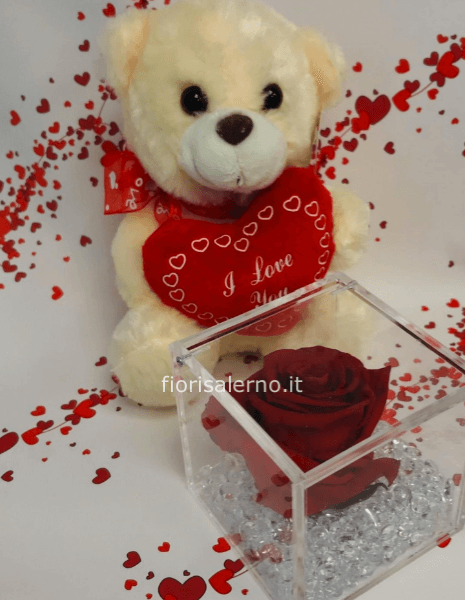 Rosa stabilizzata e un peluche