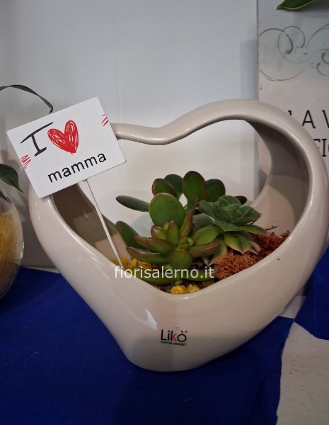Piantine in ceramica a forma di cuore